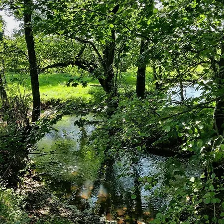 Rosengard *