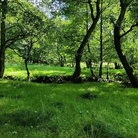 Rosengård Lejlighed Hammel