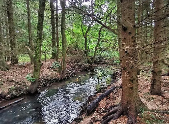 Rosengard 아파트 Hammel