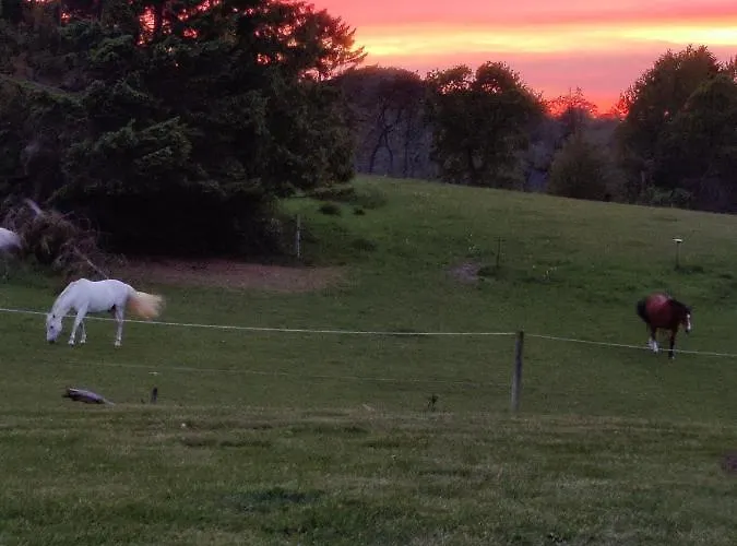 Appartement Rosengard *