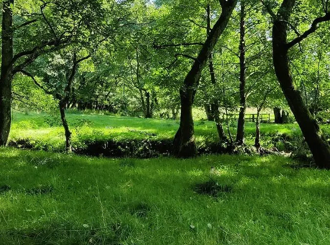 Rosengard 아파트 Hammel